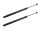Gasdruckfeder, 2x, Passat Variant