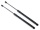 Gasdruckfeder, Motorhaube, 2x, Arteon
