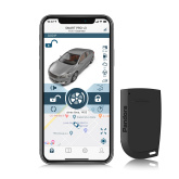 Pandora Smart Pro V4 inkl. Einbau